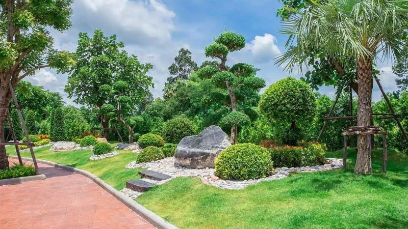 必一·运动(Bsports)苗木养护管理服务配图